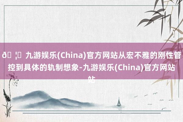 🦄九游娱乐(China)官方网站从宏不雅的刚性管控到具体的轨制想象-九游娱乐(China)官方网站