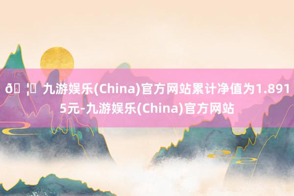 🦄九游娱乐(China)官方网站累计净值为1.8915元-九游娱乐(China)官方网站