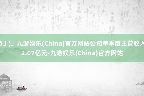 🦄九游娱乐(China)官方网站公司单季度主营收入2.07亿元-九游娱乐(China)官方网站