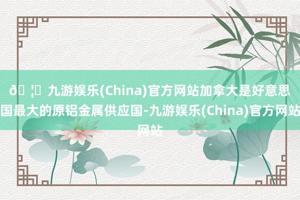 🦄九游娱乐(China)官方网站　　加拿大是好意思国最大的原铝金属供应国-九游娱乐(China)官方网站