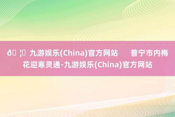 🦄九游娱乐(China)官方网站      普宁市内梅花迎寒灵通-九游娱乐(China)官方网站