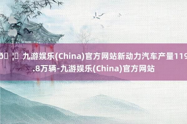 🦄九游娱乐(China)官方网站新动力汽车产量119.8万辆-九游娱乐(China)官方网站