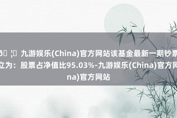 🦄九游娱乐(China)官方网站该基金最新一期钞票确立为：股票占净值比95.03%-九游娱乐(China)官方网站