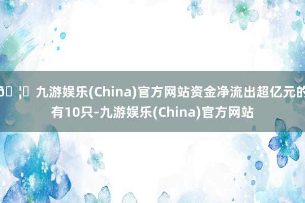 🦄九游娱乐(China)官方网站资金净流出超亿元的有10只-九游娱乐(China)官方网站