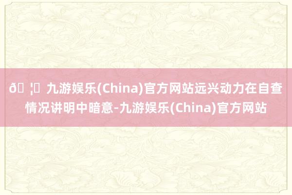 🦄九游娱乐(China)官方网站　　远兴动力在自查情况讲明中暗意-九游娱乐(China)官方网站