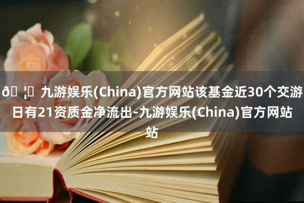 🦄九游娱乐(China)官方网站该基金近30个交游日有21资质金净流出-九游娱乐(China)官方网站
