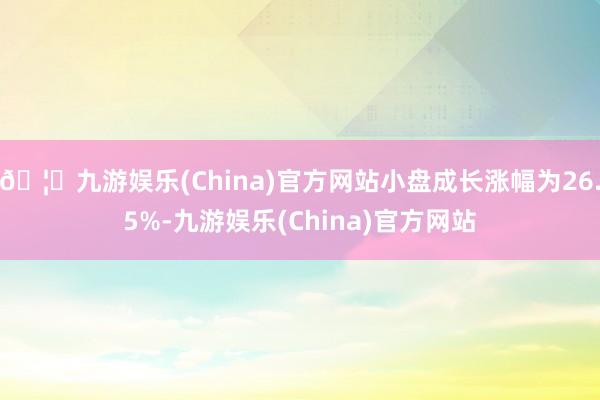 🦄九游娱乐(China)官方网站小盘成长涨幅为26.5%-九游娱乐(China)官方网站