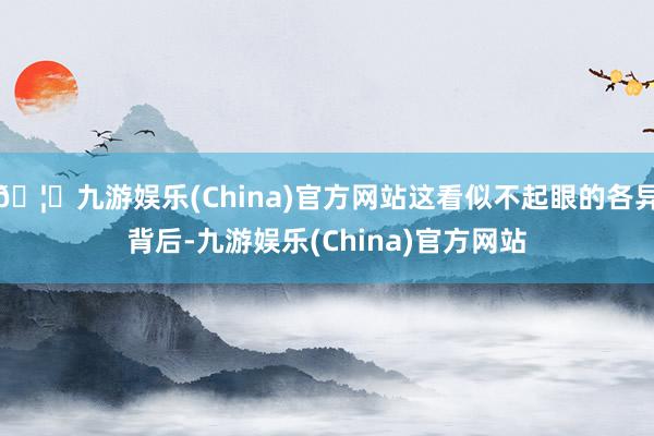 🦄九游娱乐(China)官方网站这看似不起眼的各异背后-九游娱乐(China)官方网站