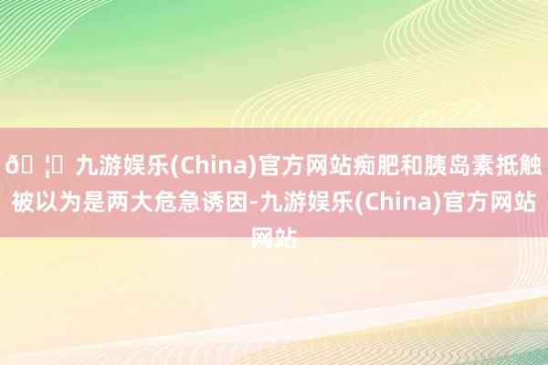 🦄九游娱乐(China)官方网站痴肥和胰岛素抵触被以为是两大危急诱因-九游娱乐(China)官方网站
