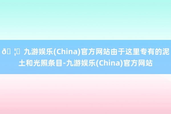🦄九游娱乐(China)官方网站由于这里专有的泥土和光照条目-九游娱乐(China)官方网站