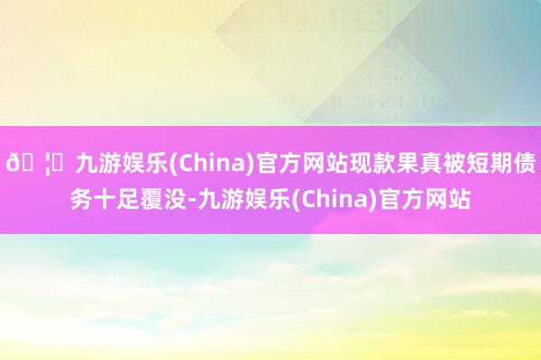 🦄九游娱乐(China)官方网站现款果真被短期债务十足覆没-九游娱乐(China)官方网站