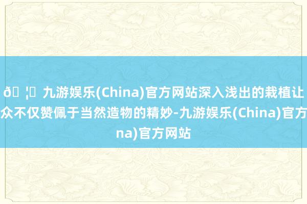 🦄九游娱乐(China)官方网站深入浅出的栽植让不雅众不仅赞佩于当然造物的精妙-九游娱乐(China)官方网站